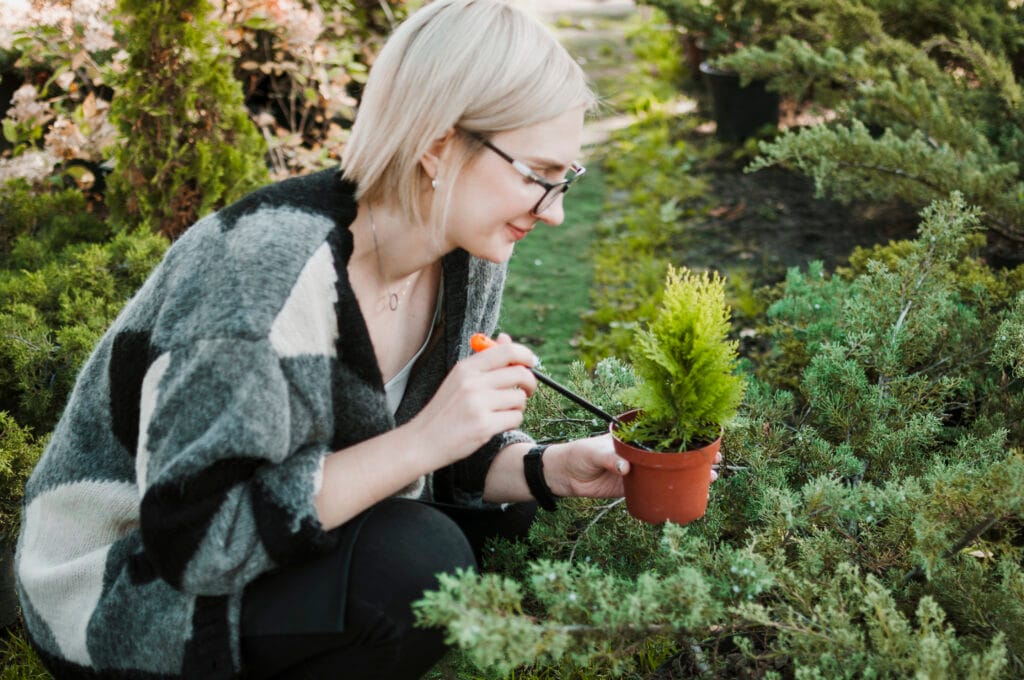Tıbbi ve Aromatik Bitki Yetiştiriciliği Sertifikası Nasıl Alınır?